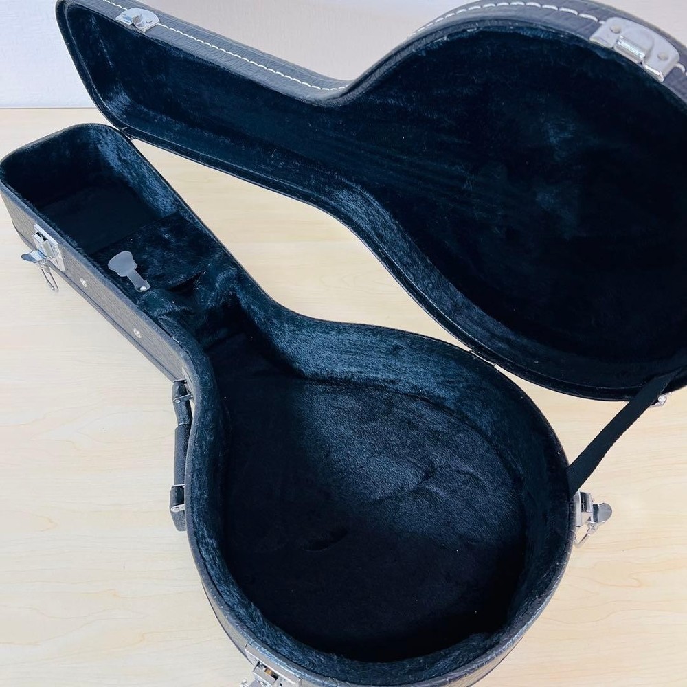 ARIA AM-20 Mandolin 8 string with hard case