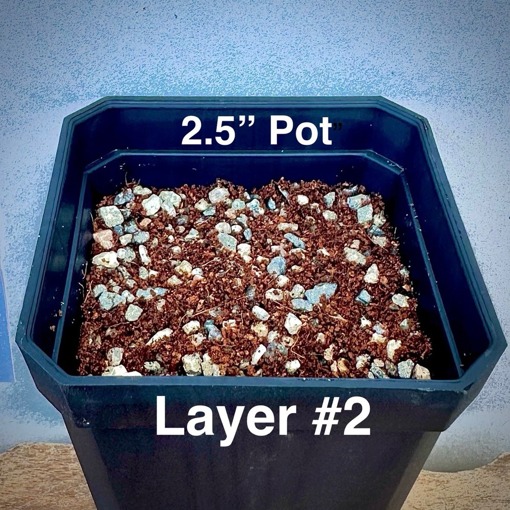 4 Layer System Cactus Seed Sowing Germination Mix Soil Kit Mycorrhizae 1 QUART