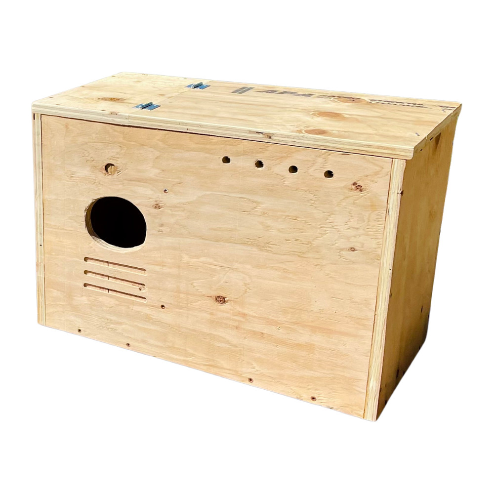 Barn Owl Nesting Box