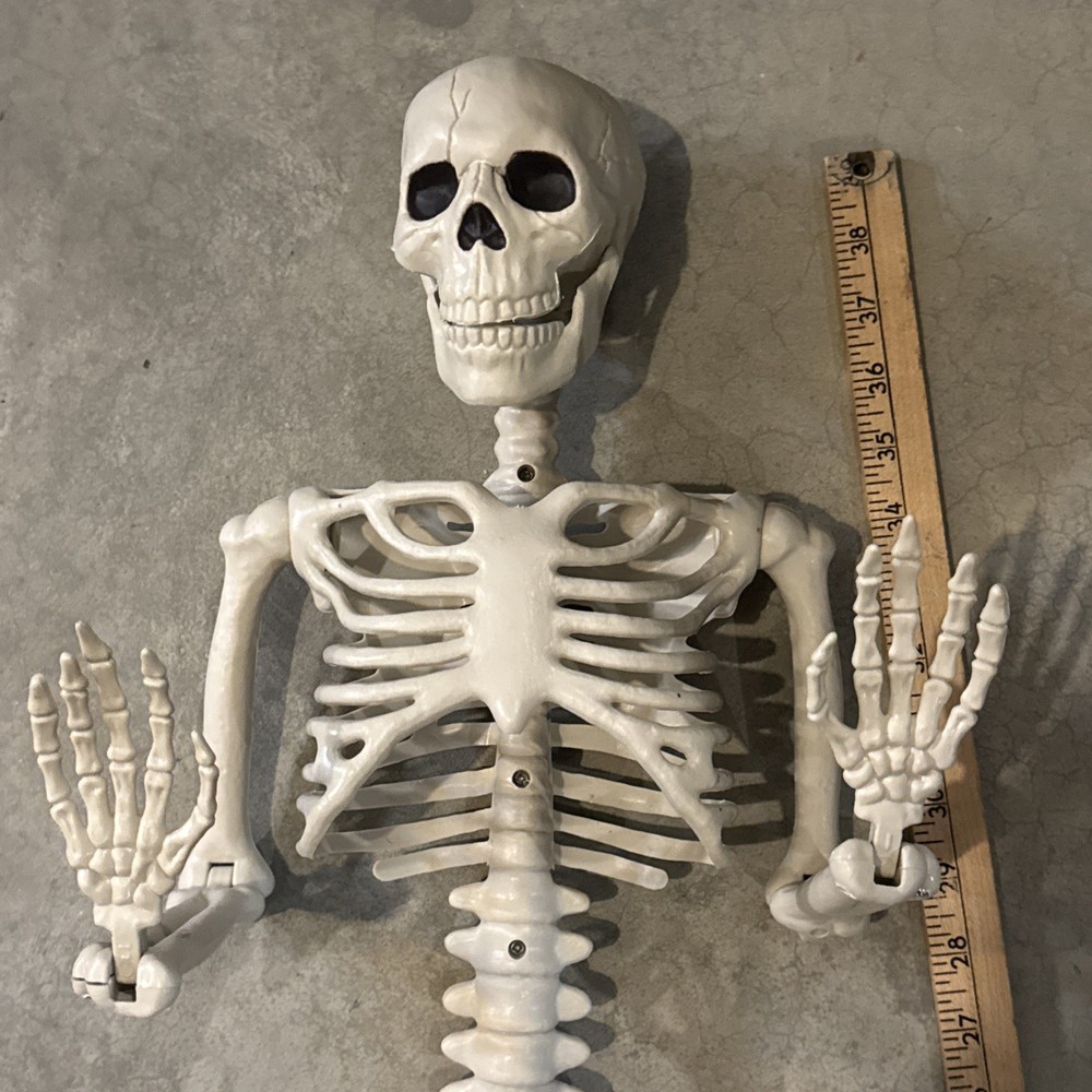 36" Poseable Bone Skeleton Halloween Decorative Prop Off-White -