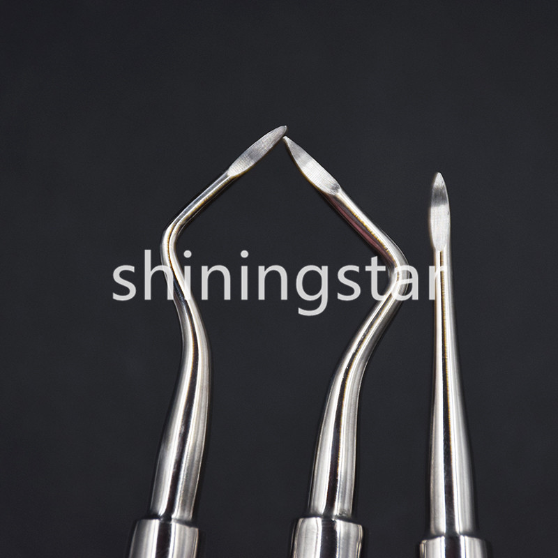 6 Pcs Dental Apical/Apex Elevator Extraction Root Elevator Left/Right/Straight