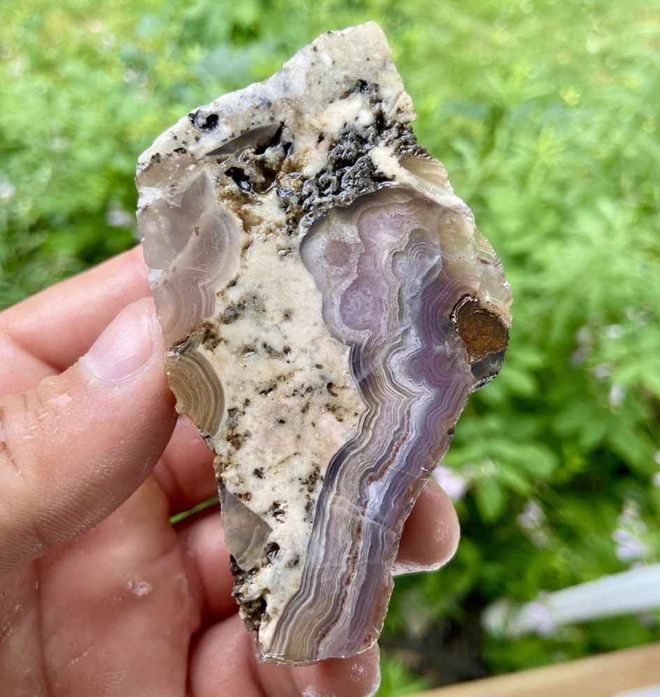 Aztec Crazy Lace Agate Large Rough 4 Oz