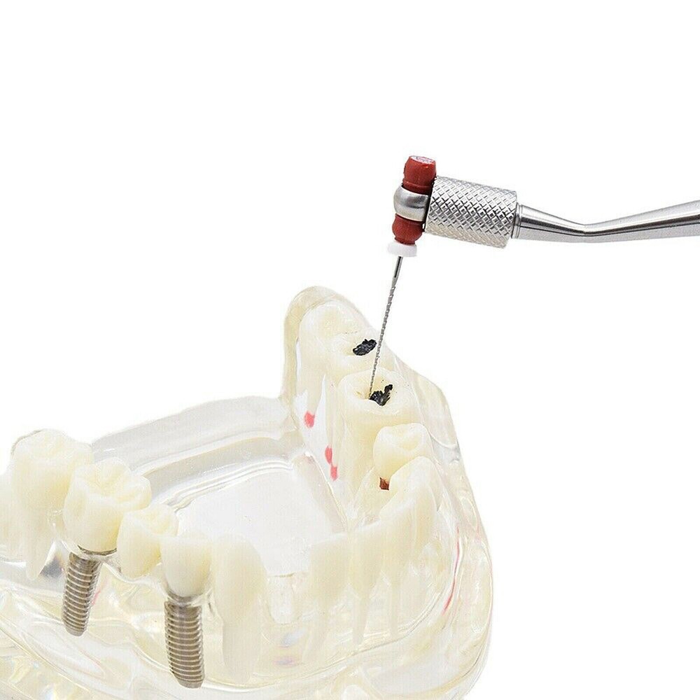 Dental 134℃ Autoclaved Simple Structure Endo File Holder Handle Hand Root Grey