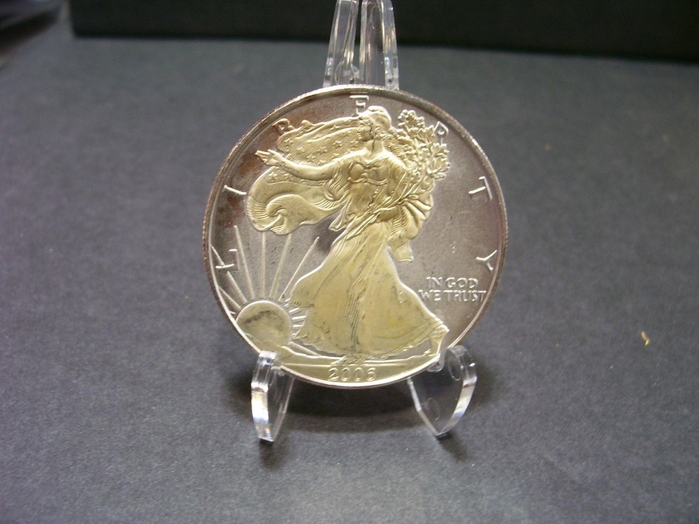 2006 - American Silver Eagle - 24K Gold Gilded - Just Beautiful :