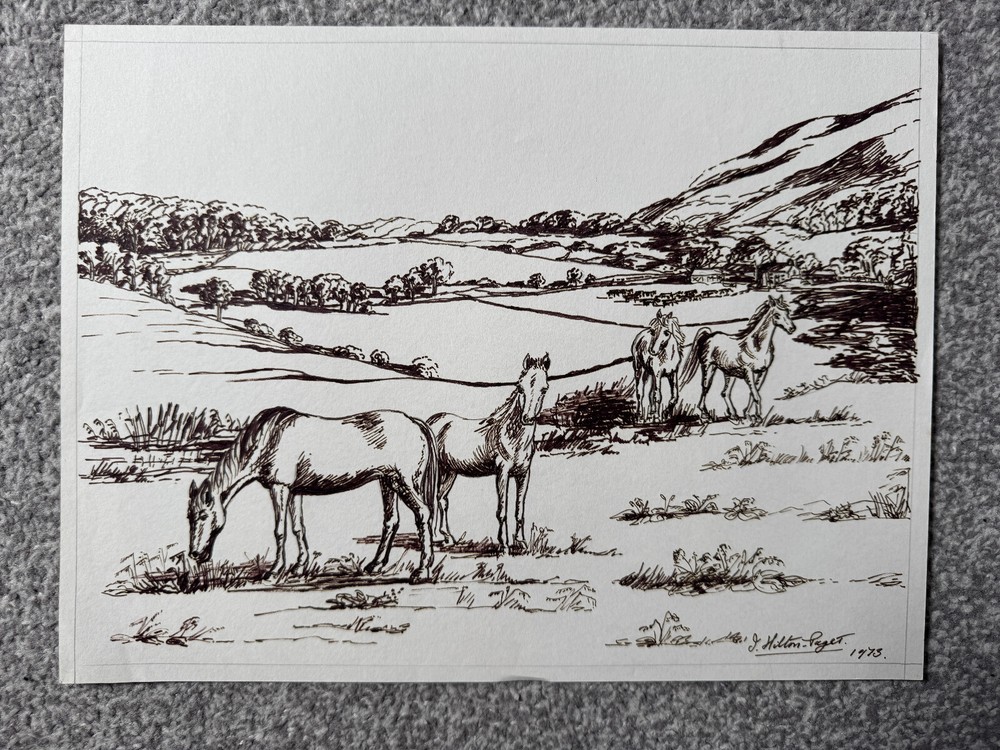 'Horses' by J. Hilton-Paget original signed ink/pen drawing artwork