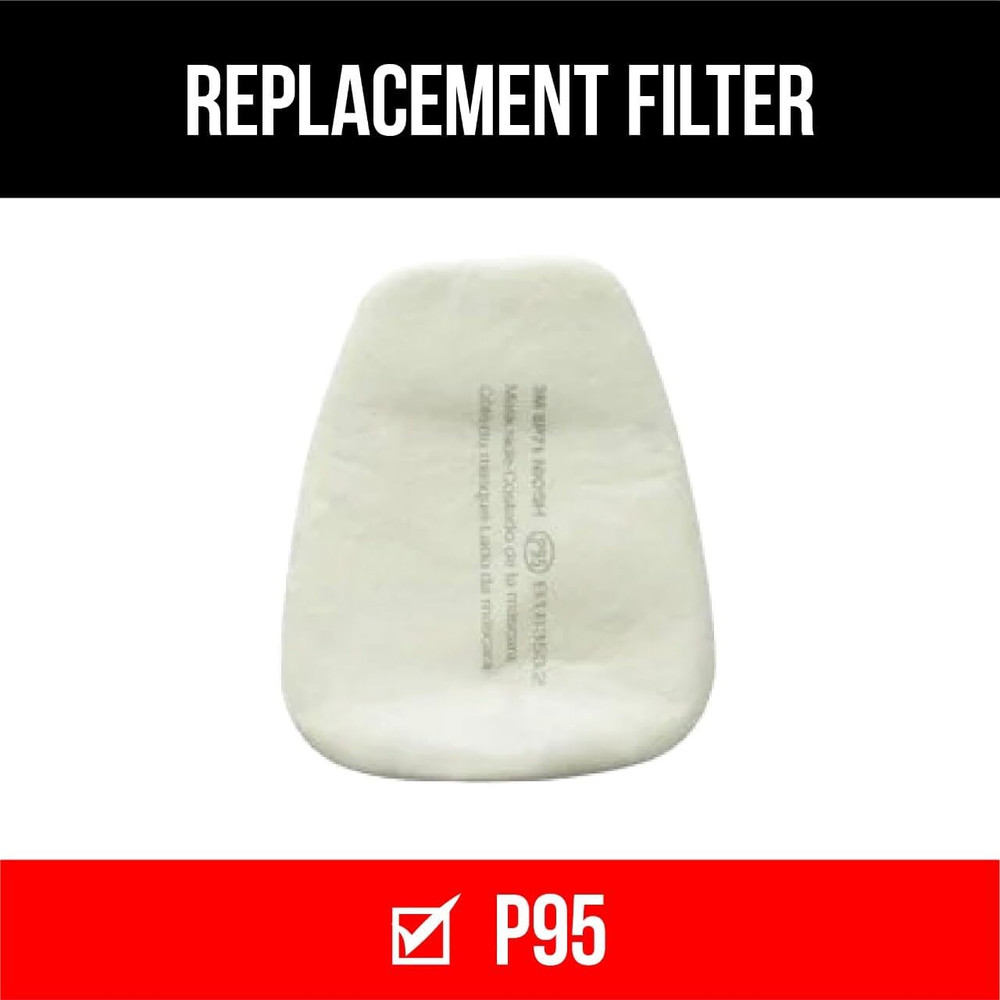 Particulate Filter P95, 3 Pair/Pack, 12 Pack/Case