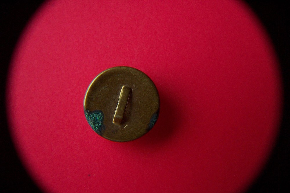 19th C GLASS DOME BUTTON Reverse Enameled ROSE DAISY IRIS