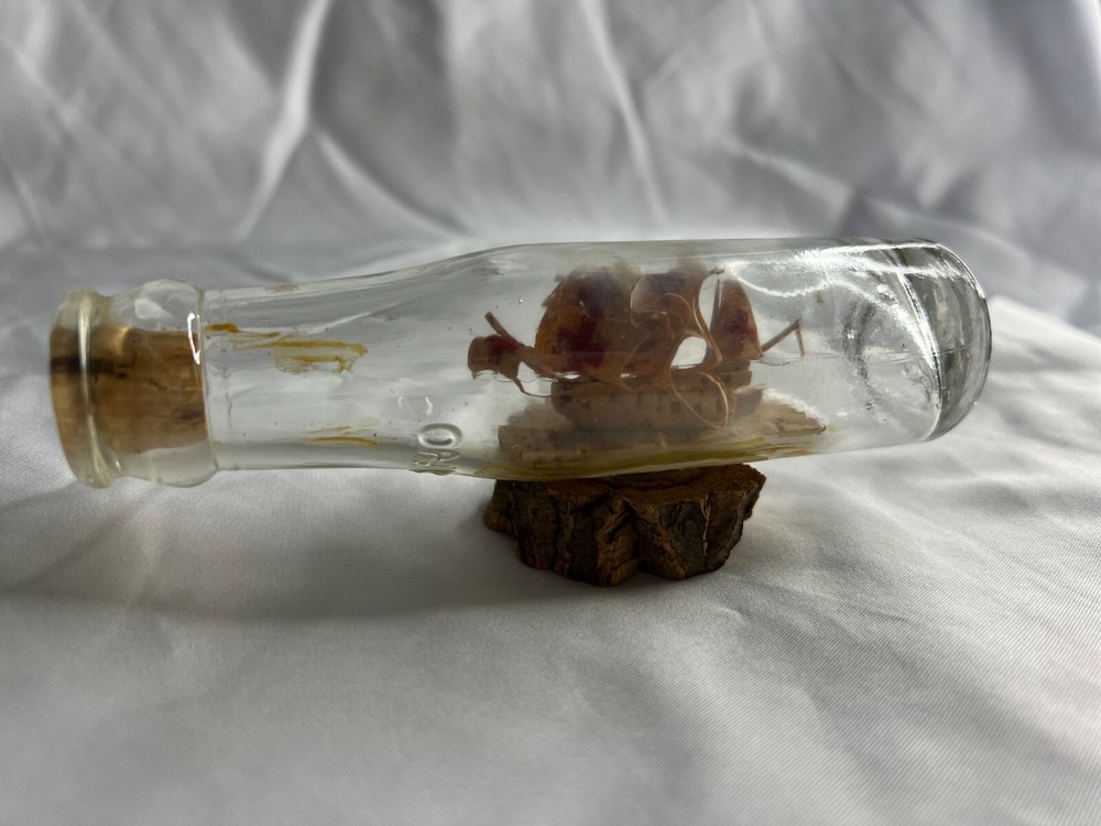 Cinzano Glass Bottle w/ Ship