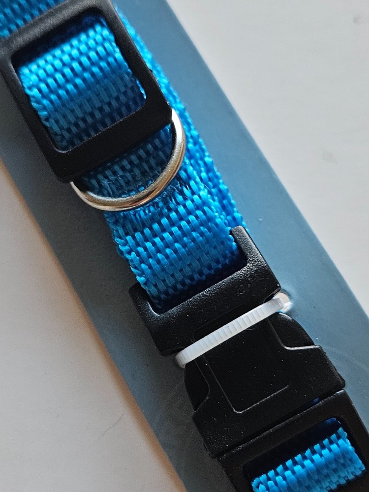 Blue Polyester Dog Collar - Size: Small / 10" - 16" / Adjustable