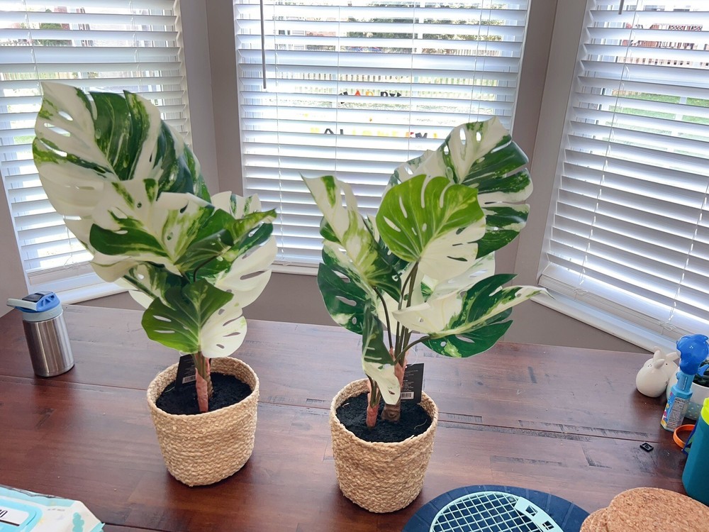 Threshold - Large Marble Monstera Artificial Plant