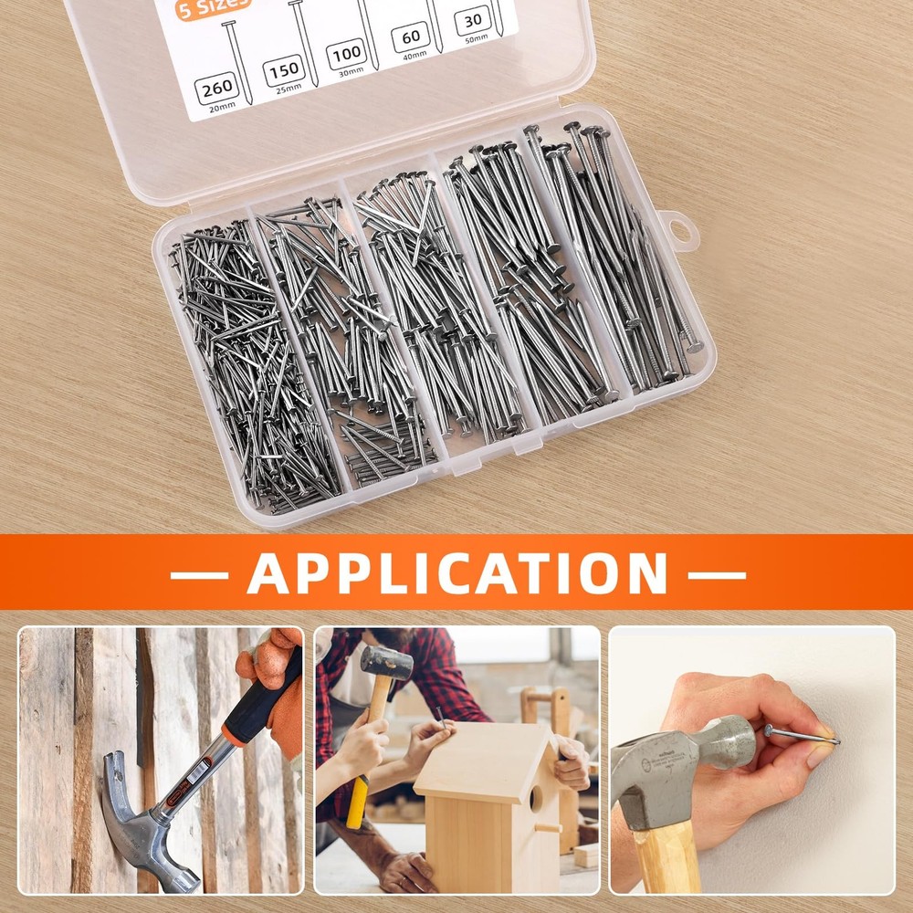 5 Sizes Hardware Nails Assortment Kit, Flat for Picture Wall Silver