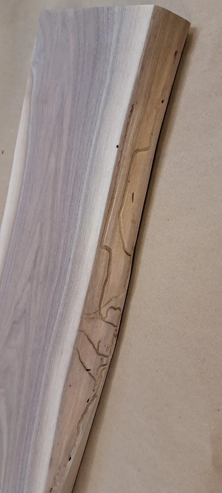 Live Edge Black Walnut Slab