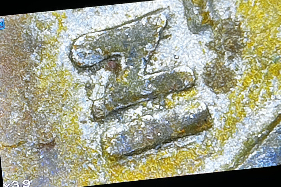 1979 Quarter Filled D Error, Stunning