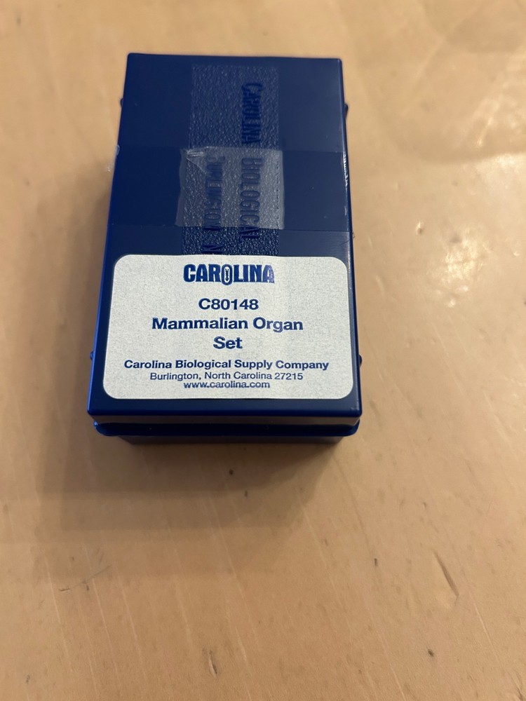 C80148 Microscope Slide - Mammalian Organs