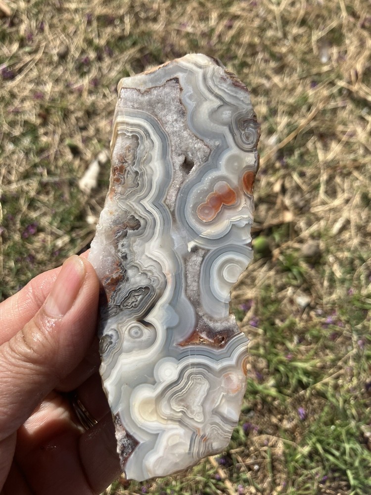 Crazy Lace Agate Slab (Mexico)