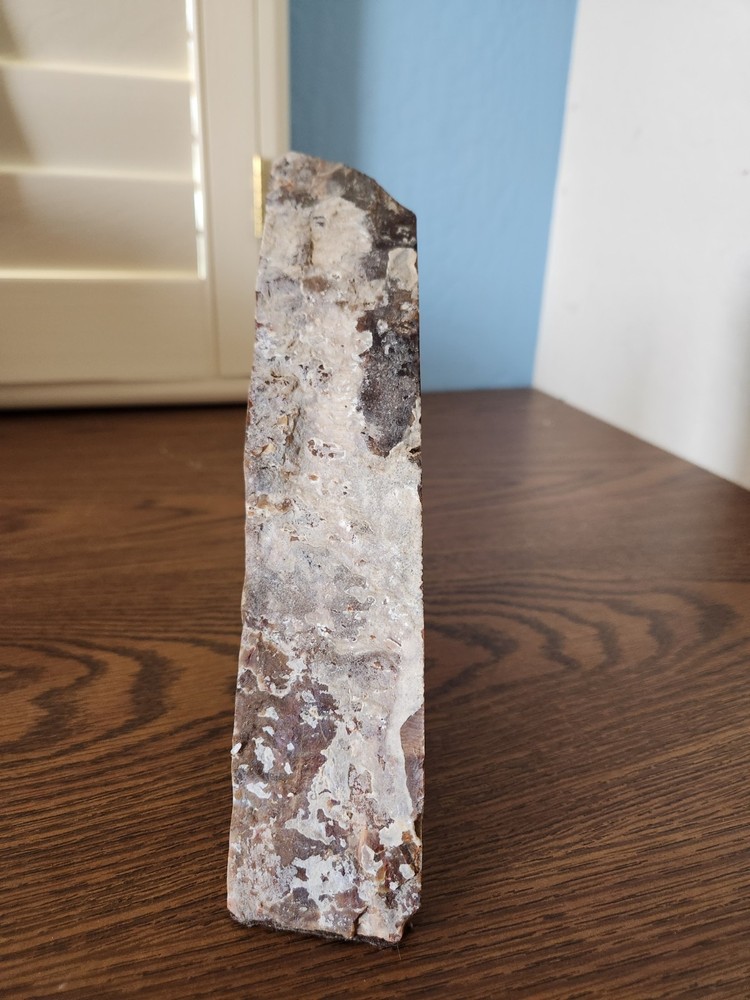 Polished Petrified Wood Bookend 3lb
