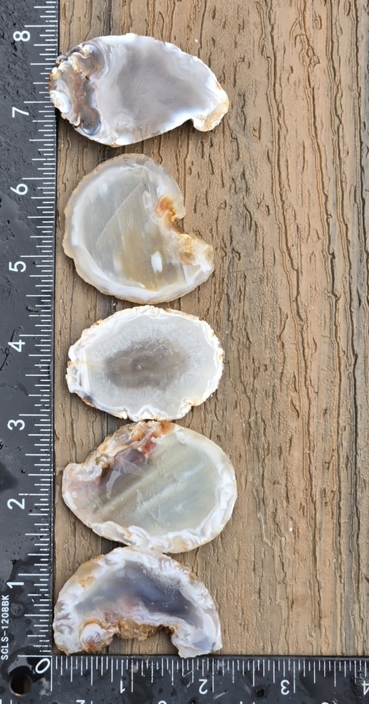 5 Oco Agate Geode Slices - Rough, Natural, Not Polished Lapidary
