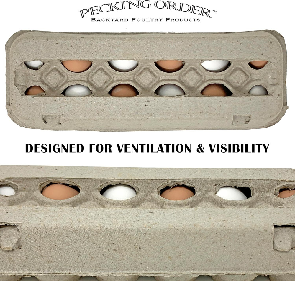 Paper Pulp Egg Cartons - 12 Pack