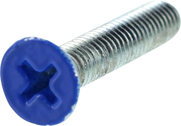 STANDARD PHILLIPS BOLT 1" BLUE HEAD