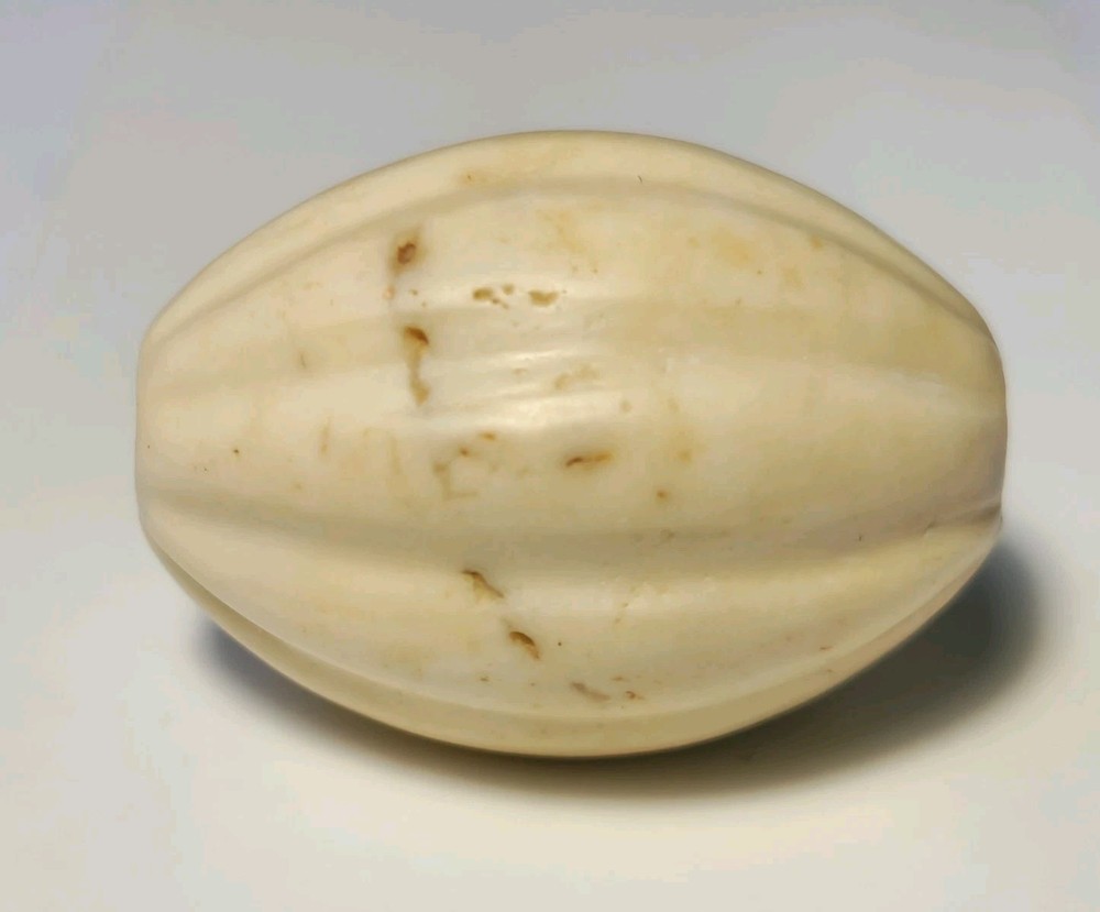 ANCIENT LARGE WESTERN ASIAN SHELL MELON SHAPE BEAD (29mm x 20.5mm)