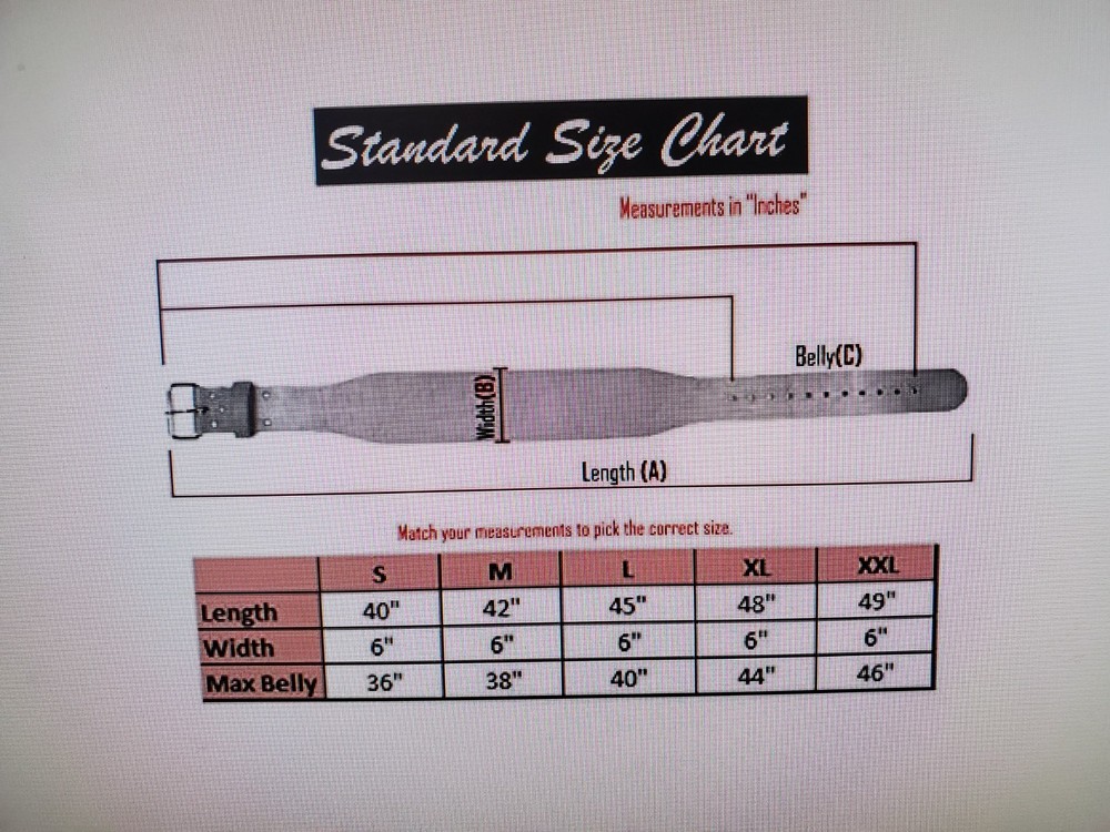 Padded Weightlifting Belt Medium