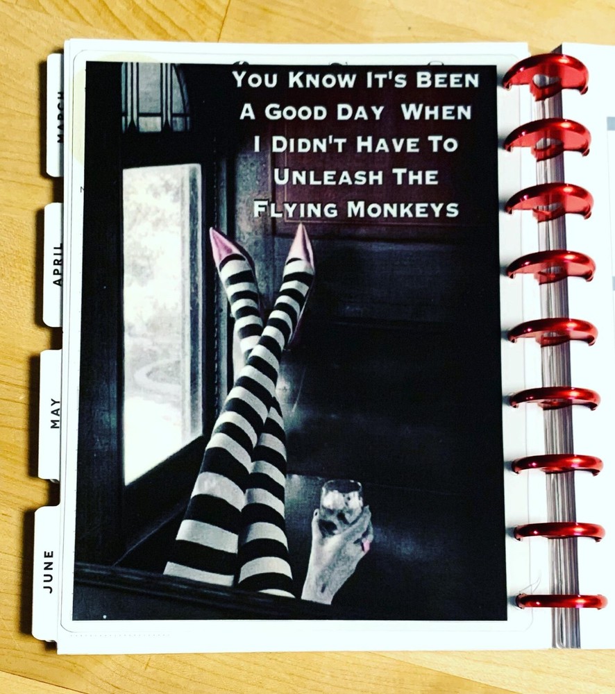 Flying Monkeys Dashboard Insert for use with a Classic HAPPY Planner