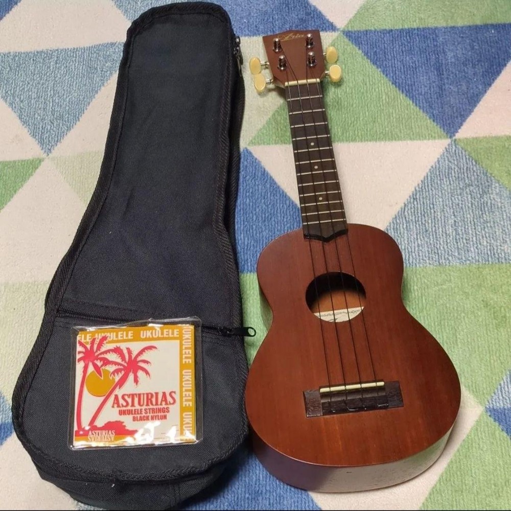 Aria ukulele body with case