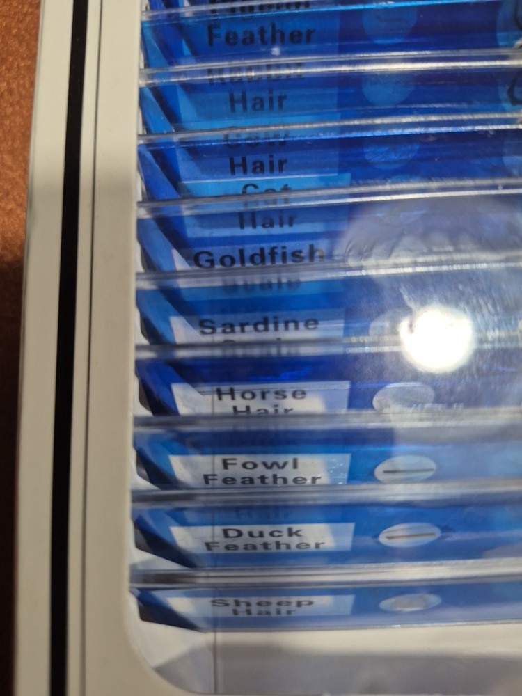 Animal Samples Prepared Microscope Slides (12 Kinds) Professional Type