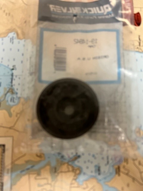 QuickSilver 19-14842 OEM Cap