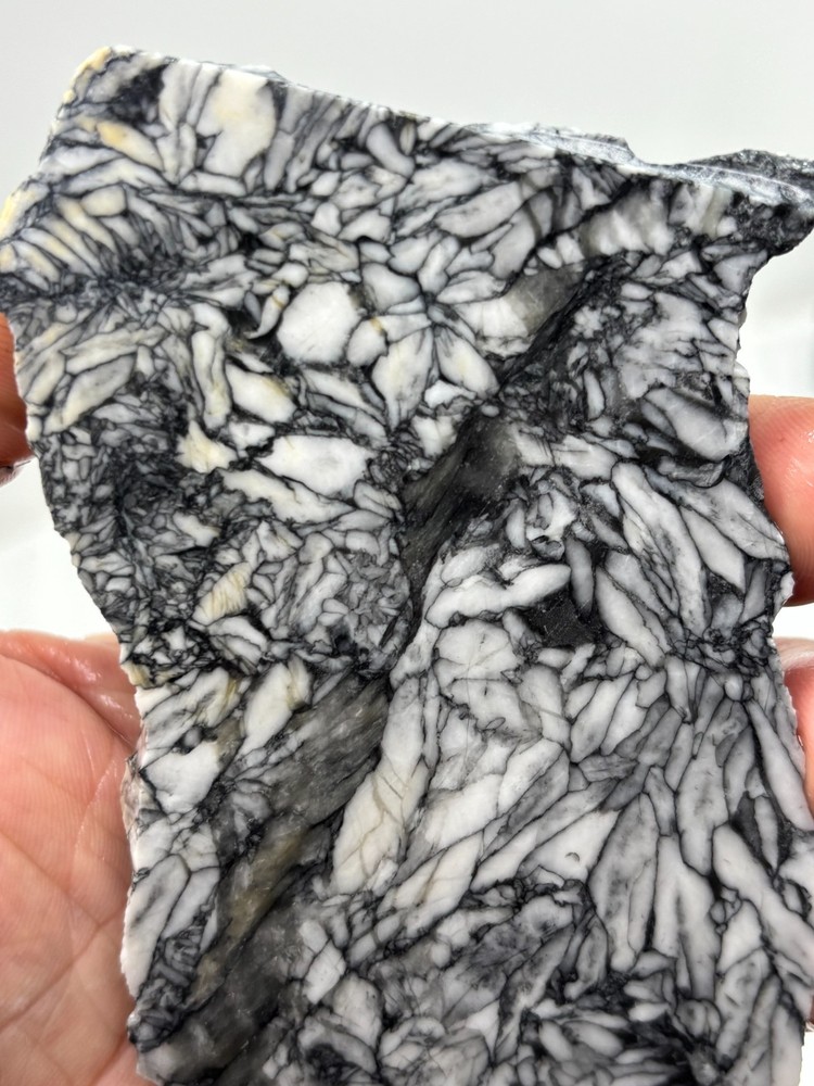 Rare Pinolith Slab Austria Cabbing Lapidary Combo Ship Avail