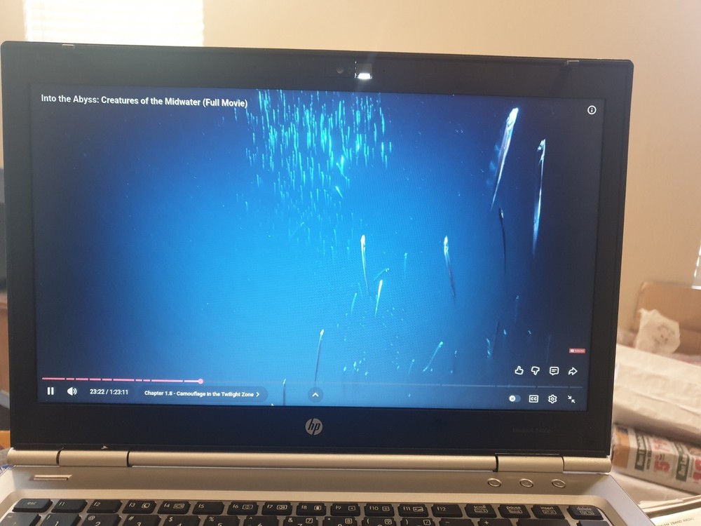 Linux MX V25.1, Xfce, 64-bit, Bootable Live and Install USB Flash Drive