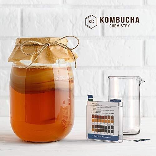 Ph Test Strips For Kombucha Brewing 06 0.5 Intervals 100pc Kit