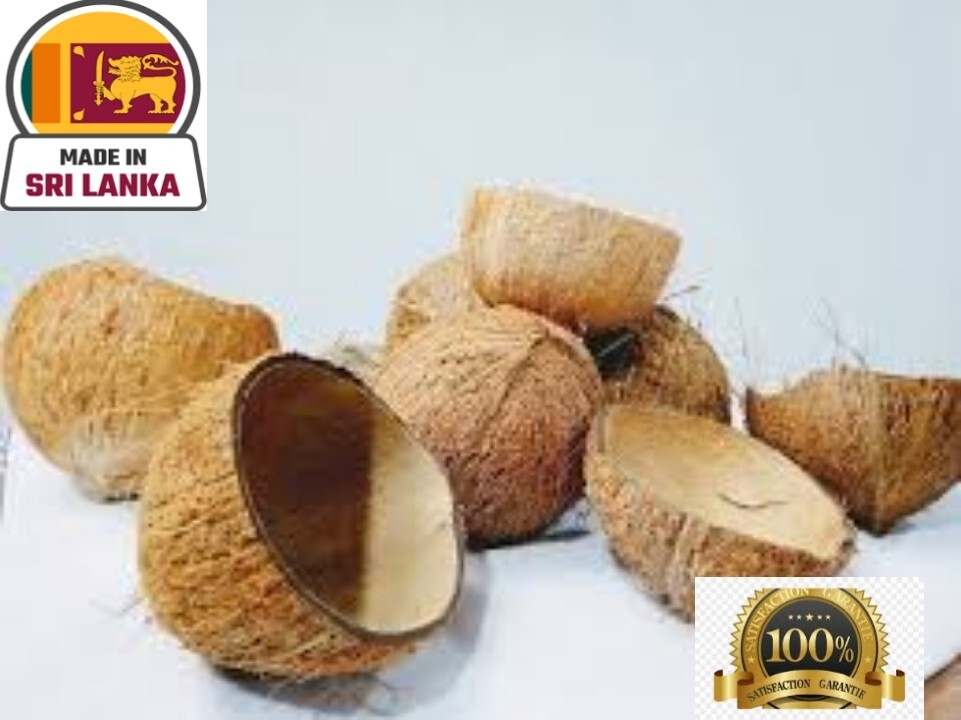 Coconut Shell Halves