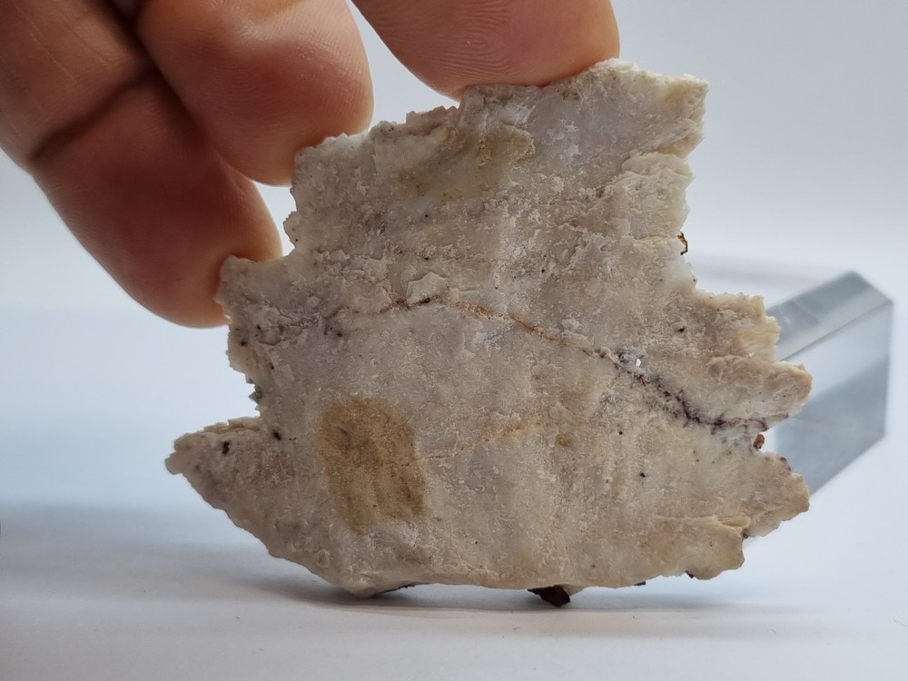 Minerals◇Calcipyrite with Siderite origin Breislar Germany