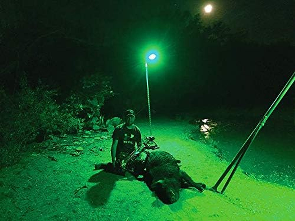 Kill Light Outfitter Motion Activated Feeder Light with Remote Control