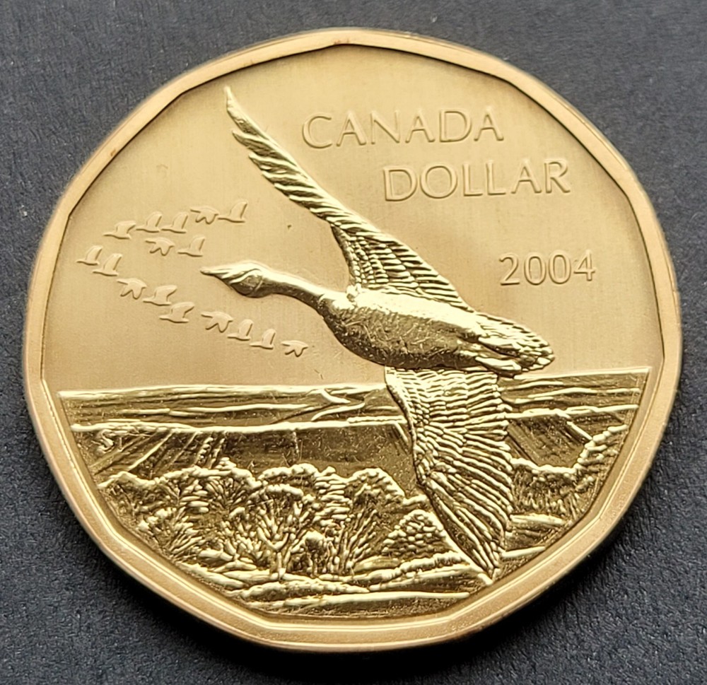 ***  CANADA   LOONIE  2004  ***  SPECIMEN  ***  FLYING   GOOSE  ***