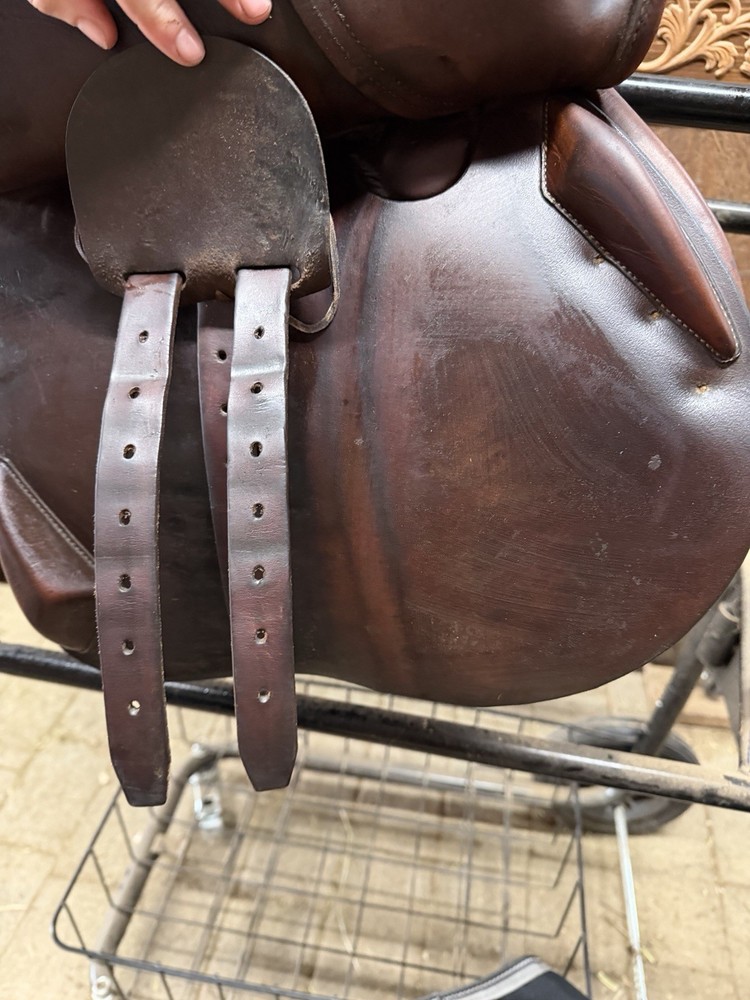 Antares Evolution Close Contact Jump Saddle 17" MW