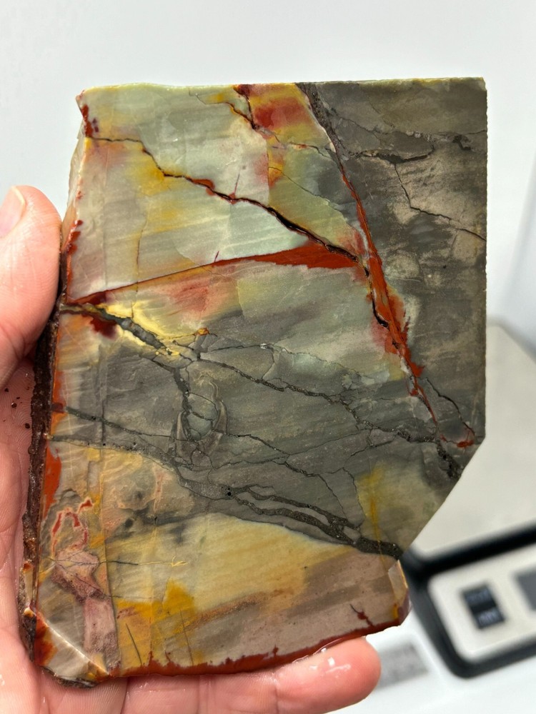 Arizona Polychrome Jasper aka Spring Jasper slab Cabbing Lapidary Combo ship avl