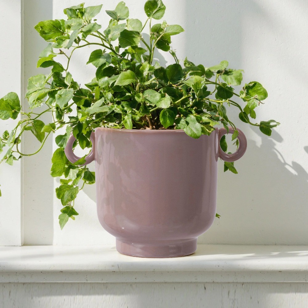 6" Rose Pink Handled Ceramic Planter by Drew Barrymore