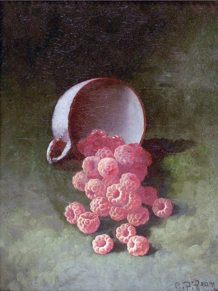 RASPBERRIES IN A CUP Tile Mural Kitchen Bathroom Wall Backsplash Ceramic 6x8