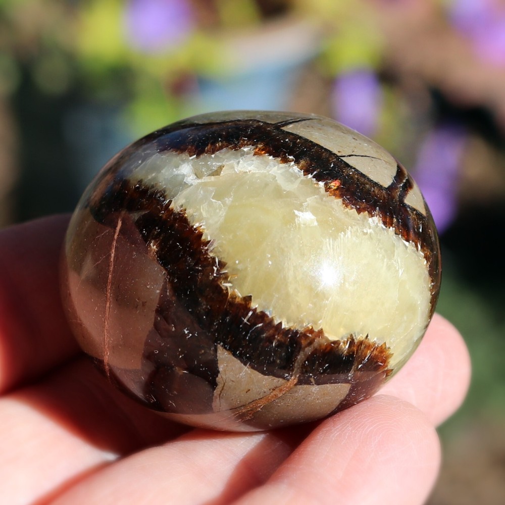 Polished Septarian Nodule (SEP23)