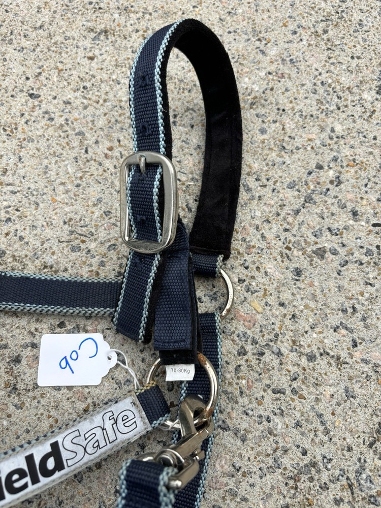 Field Safe Cob Size Halter - Breakaway/Reflective