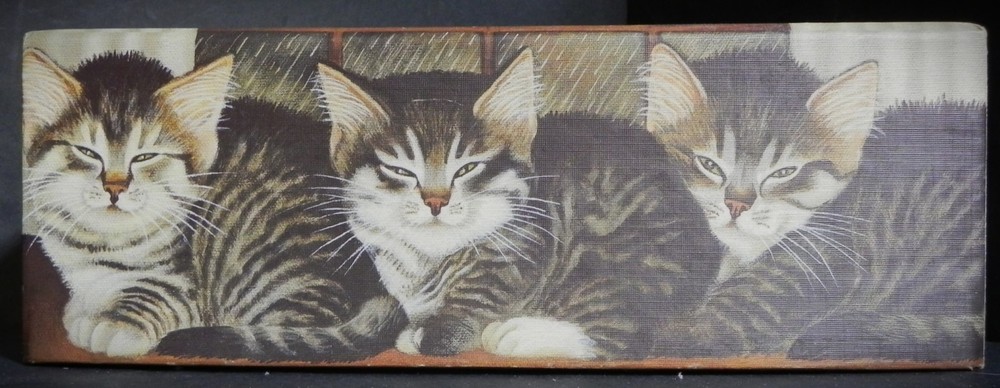 Bob's Boxes Tissue Box Cover Rainy Window Cats Kittens pre-owned