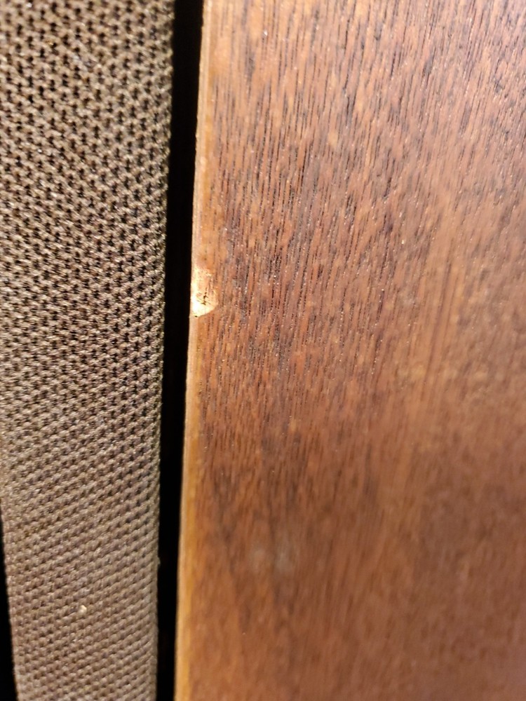 Pair of Epicure Model 11 Speakers ~ Tested ~ Needs Refoam