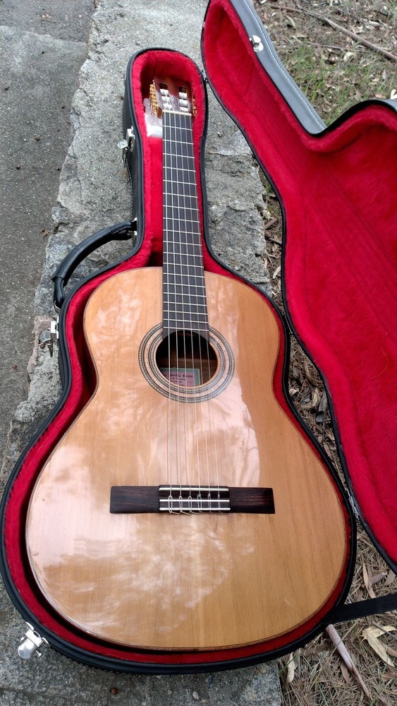 Ricardo Sanchis Carpio Guitar