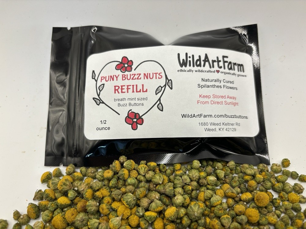Herbal Buzz Button Mints - PUNY BUZZ NUTS - Breath Mint Sized Spilanthes Flowers