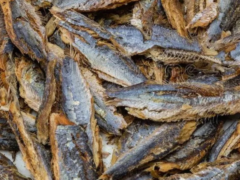 Dried Bony Fish