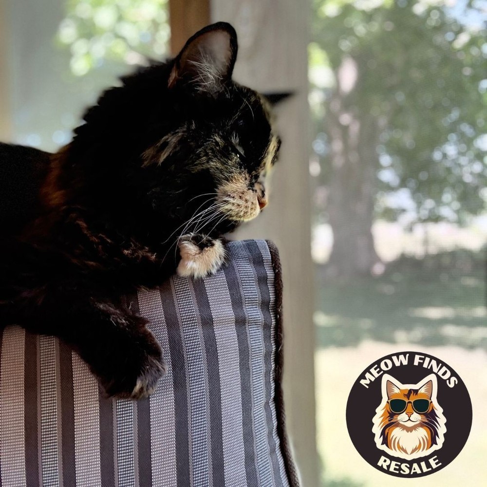 Torrington FAFNIR Kilian Pocket Reference Slide Chart Tool Steampunk