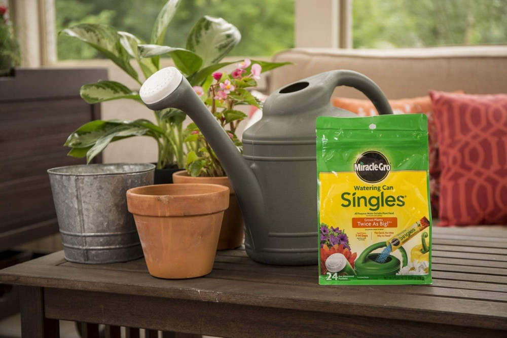 Miracle-Gro Watering Can Singles Includes 24 Pre Measured Packets (6 Pack)