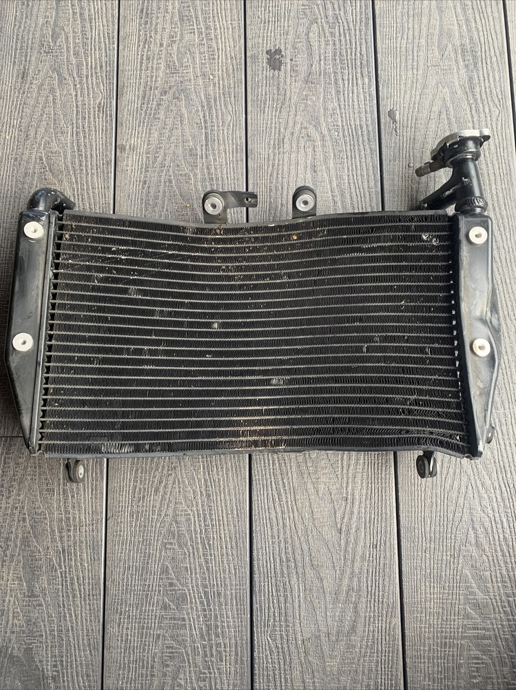 2019 Triumph Tiger 1200 Damaged Radiator Rad